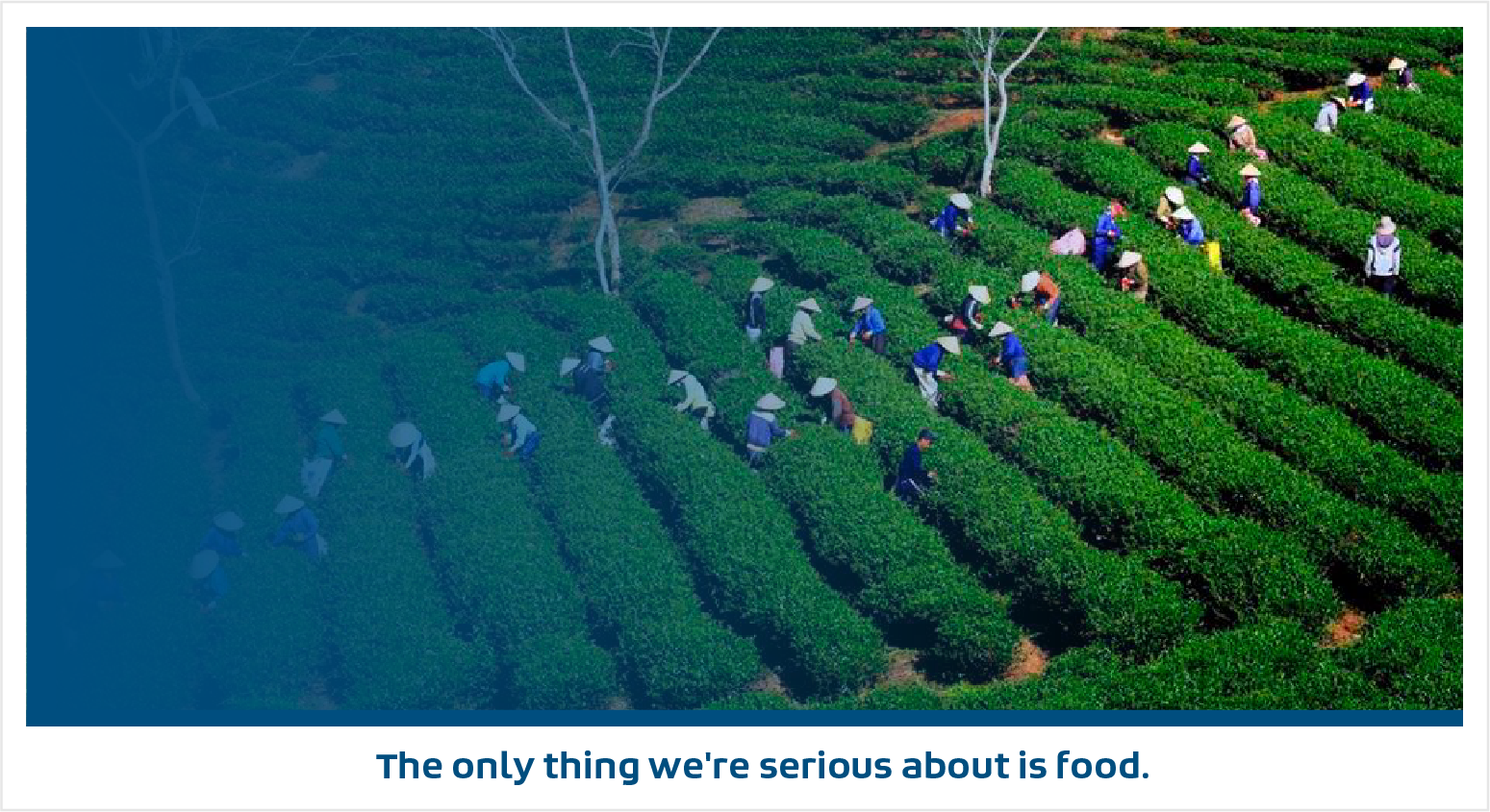 World Food and Agriculture Leadership Platform - Global Summit Banner